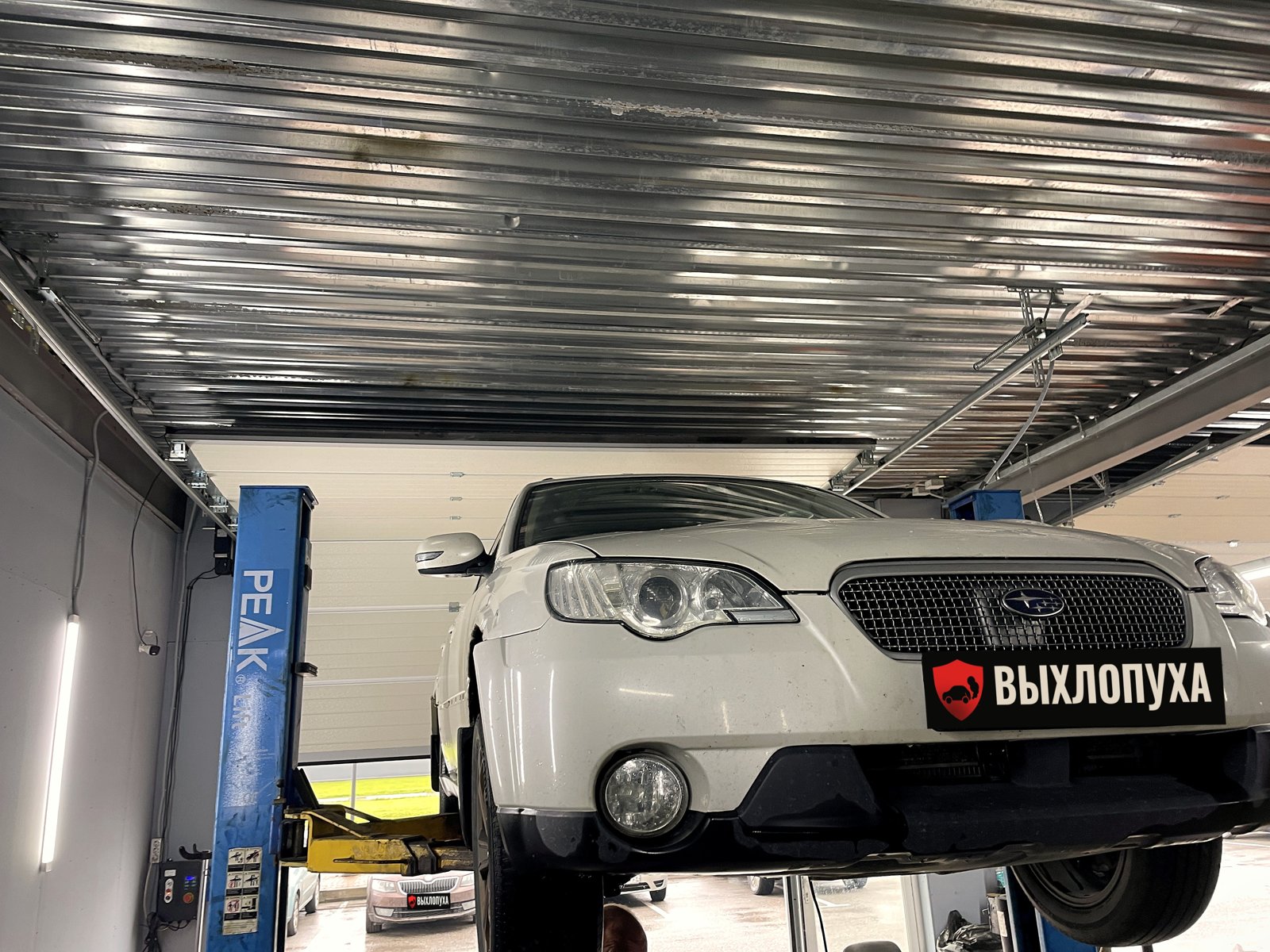 Белый Subaru Outback третьего поколения на подъёмнике в боксе «Выхлопухи» в Тельмана, вид спереди, номер закрыт плашкой